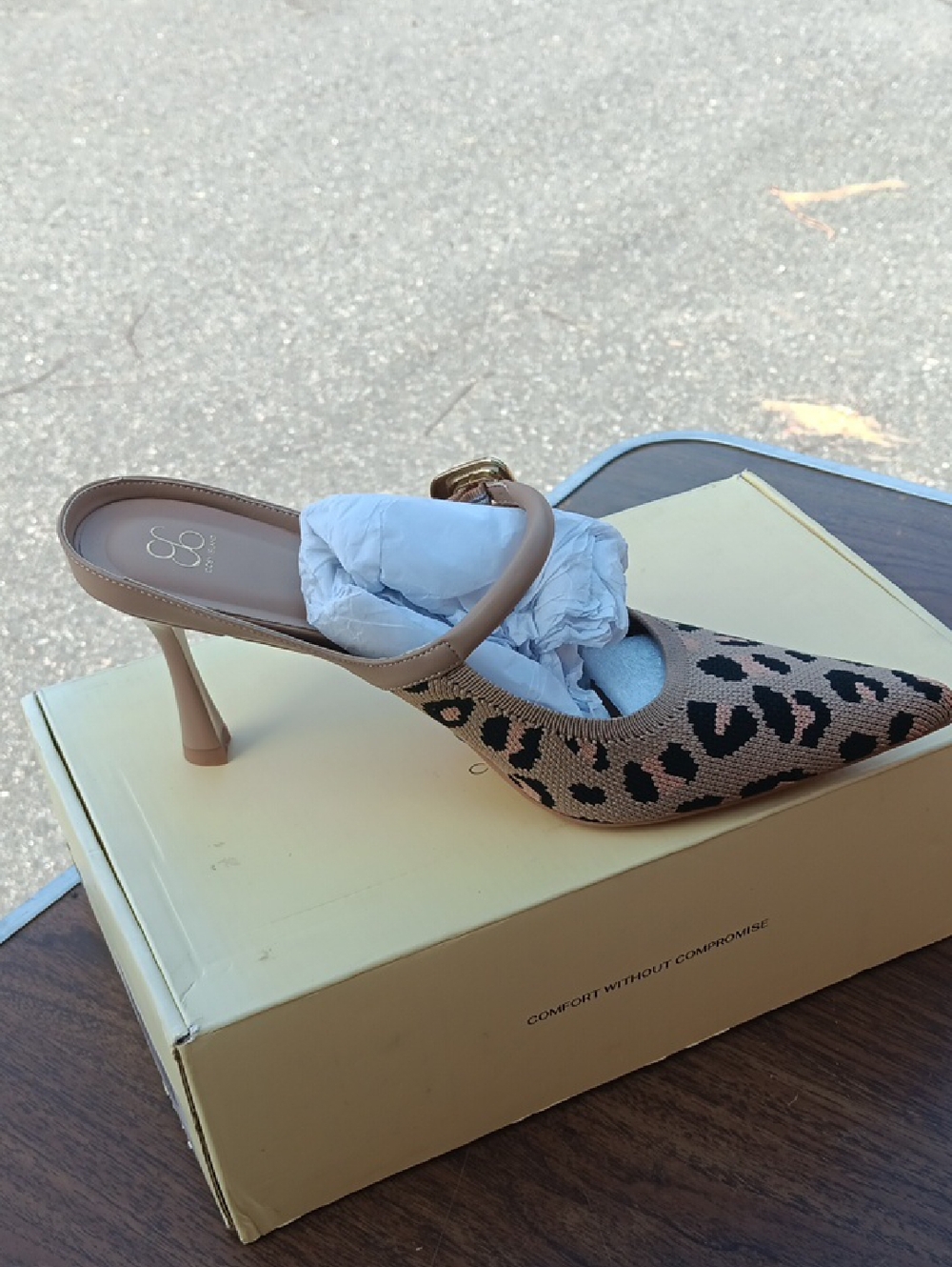 Leopard-Print Pointed Mule in Beige/Black